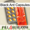 Black Ant Capsules new01